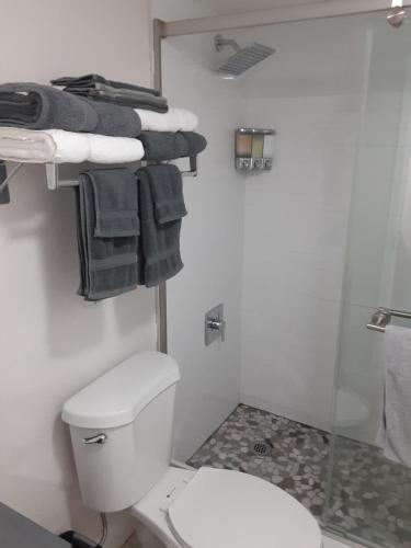 SunsetView Studio116 Beach steps away Pool WiFi in Ruskin (FL) SunsetView Studio116 Beach steps away Pool WiFi in Ruskin (FL)