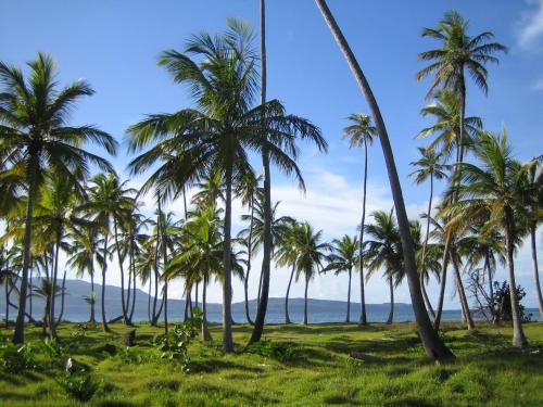 Palm-covered house in the tropical -Casa Oli in Las Galeras Palm-covered house in the tropical -Casa Oli in Las Galeras