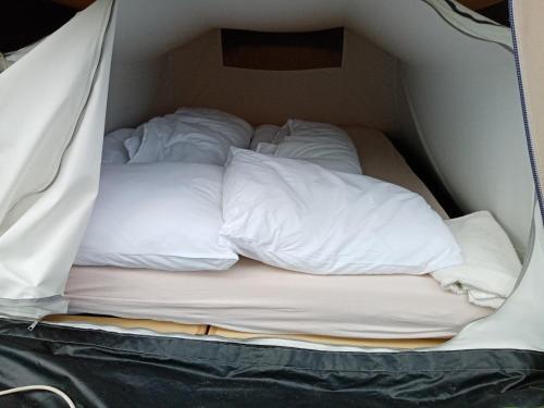 Basic 2p tent Sotterum in Leeuwarden Basic 2p tent Sotterum in Leeuwarden