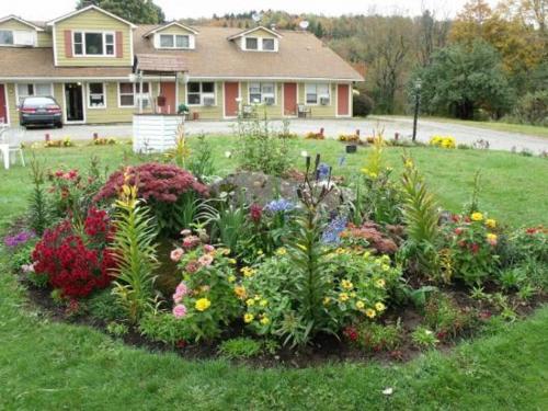 在meiguo.com看到的Vintage Motel Wilmington的介绍图片