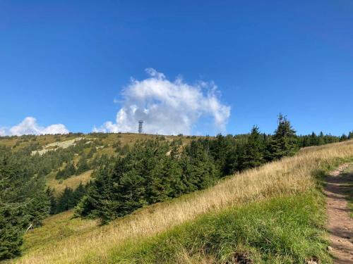 A környék, Penzion U školy (Penzion U skoly) in Stare Mesto Pod Sneznikem A környék, Penzion U školy (Penzion U skoly) in Stare Mesto Pod Sneznikem