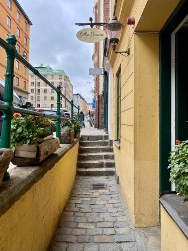 Vista exterior, Lilla Brunn in Stockholm Vista exterior, Lilla Brunn in Stockholm