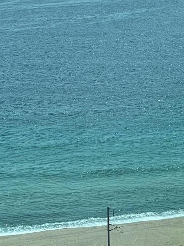 Beach, Donghae Oceancity Residence Hotel in Donghae-si Beach, Donghae Oceancity Residence Hotel in Donghae-si
