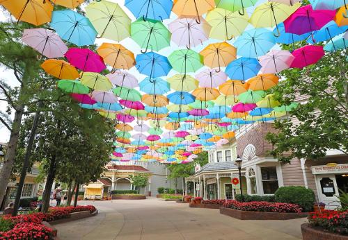 Attractions, Travelodge by Wyndham Pigeon Forge Dollywood Lane in Pigeon Forge (TN) Attractions, Travelodge by Wyndham Pigeon Forge Dollywood Lane in Pigeon Forge (TN)
