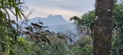 Jade Hills Coorg in Monnageri Jade Hills Coorg in Monnageri