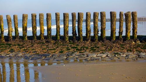 Natuurhuis Zeeuwse Rust voor wandelingen aan zee, fietstochten in natuur en culinair genieten in IJzendijke Natuurhuis Zeeuwse Rust voor wandelingen aan zee, fietstochten in natuur en culinair genieten in IJzendijke