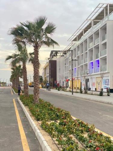 إستوديو فندقي بورتو سعيد porto said (إستوديو فندقي بورتو سعيد porto said) in Port Said إستوديو فندقي بورتو سعيد porto said (إستوديو فندقي بورتو سعيد porto said) in Port Said