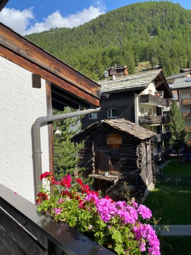 景觀, 阿多尼斯飯店 (Hotel Adonis) in 策馬特 景觀, 阿多尼斯飯店 (Hotel Adonis) in 策馬特