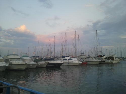 This photo about La Mediterranee shared on HyHotel.com