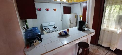 Tropical Dreams Hostel in Корн Айленд Tropical Dreams Hostel in Корн Айленд