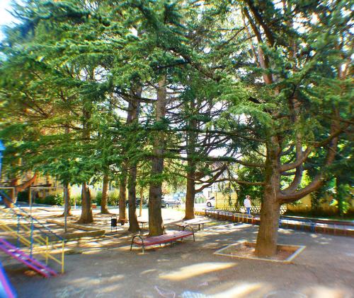 Playground, 243-2 Студия для 3хч в центре Адлера in Adler Playground, 243-2 Студия для 3хч в центре Адлера in Adler