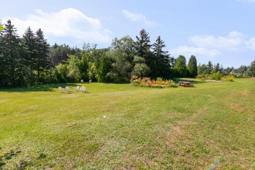 A környék, Auberge Pique Nique in Grand-Mere (QC) A környék, Auberge Pique Nique in Grand-Mere (QC)