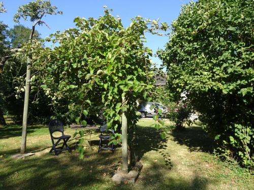 View, Moulin de Ringere in Vouille View, Moulin de Ringere in Vouille
