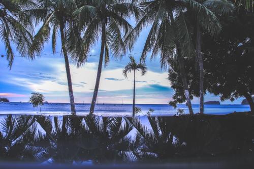 Restaurant, Café de Playa beach front restaurant and suites in Coco Restaurant, Café de Playa beach front restaurant and suites in Coco