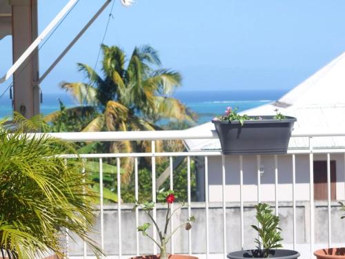 Tampilan eksterior, Maison spacieuse avec jacuzzi et vue sur la mer à Sainte-Rose (Maison spacieuse avec jacuzzi et vue sur la mer a Sainte-Rose) in Sainte Rose Tampilan eksterior, Maison spacieuse avec jacuzzi et vue sur la mer à Sainte-Rose (Maison spacieuse avec jacuzzi et vue sur la mer a Sainte-Rose) in Sainte Rose