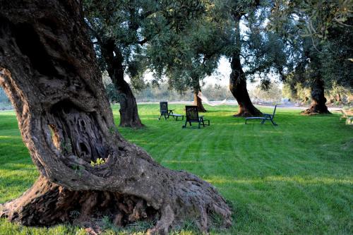 Градина, masseria LAMA DI GALIZIA in Остуни Градина, masseria LAMA DI GALIZIA in Остуни