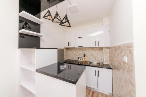 Konyha, Apartman Jovana Banja Koviljaca in Banja Koviljaca Konyha, Apartman Jovana Banja Koviljaca in Banja Koviljaca