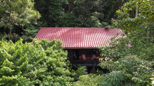 Yatama Rainforest Ecolodge in Tigre Yatama Rainforest Ecolodge in Tigre