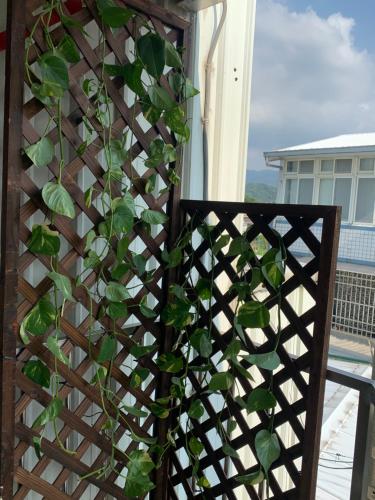 Balkon/teras, GuanMa in Miaoli City Balkon/teras, GuanMa in Miaoli City