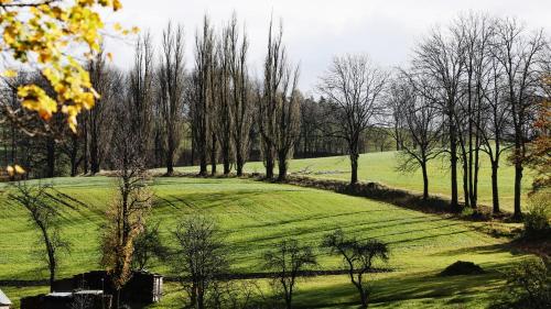 View, Ferienhaus Drebach in Drebach View, Ferienhaus Drebach in Drebach