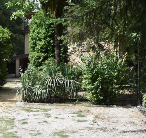 Cospea B&B in Terni Cospea B&B in Terni