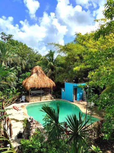 Uitzicht, Gardenhotel Macan Che B&B in Las Cinco Calles Uitzicht, Gardenhotel Macan Che B&B in Las Cinco Calles