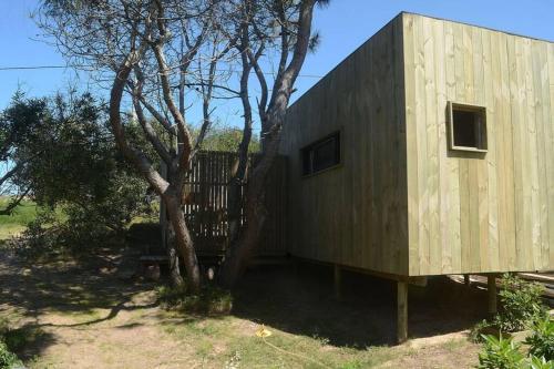 La del Pino in La Pedrera La del Pino in La Pedrera