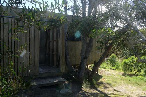 La del Pino in La Pedrera La del Pino in La Pedrera