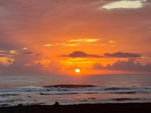 plage, Casa THIREMA Tortuguero in Tortuguero plage, Casa THIREMA Tortuguero in Tortuguero