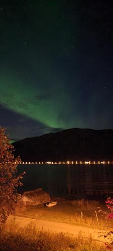 Lingkungan sekitar, Aurora Dream in Svensby Lingkungan sekitar, Aurora Dream in Svensby