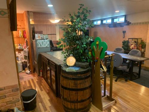 Tiện nghi giải trí, Hakuba Ski Condos in Hakuba Tiện nghi giải trí, Hakuba Ski Condos in Hakuba