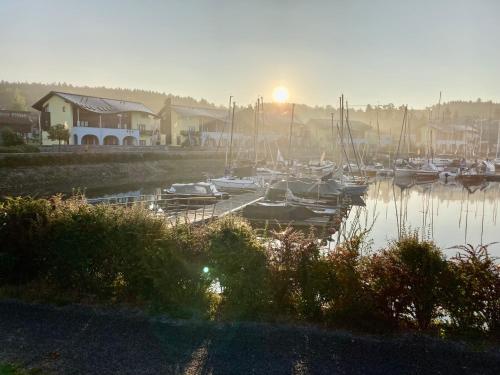 Kuntoilu ja Aktiviteetit, RIVIERA LIPNO 502 Apartmán 4kk u vody (RIVIERA LIPNO 502 Apartman 4kk u vody) in Lipno nad Vltavou Kuntoilu ja Aktiviteetit, RIVIERA LIPNO 502 Apartmán 4kk u vody (RIVIERA LIPNO 502 Apartman 4kk u vody) in Lipno nad Vltavou