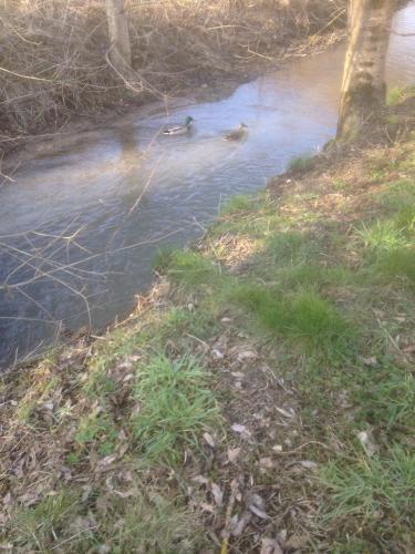 Les 4 M in Gercourt-et-Drillancourt Les 4 M in Gercourt-et-Drillancourt