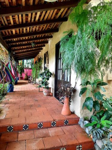 Cabañas San Miguel (Cabanas San Miguel) in Alto Boquete Cabañas San Miguel (Cabanas San Miguel) in Alto Boquete