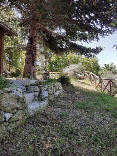 Garden, Lo Stazzo di Franco in Barete Garden, Lo Stazzo di Franco in Barete