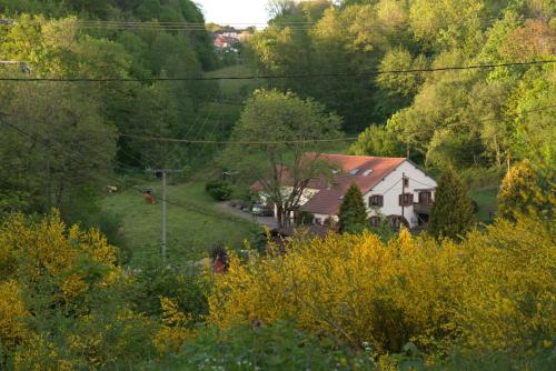 Acconat-Domaine du Moulin ( 8 Gites ) in Senones Acconat-Domaine du Moulin ( 8 Gites ) in Senones