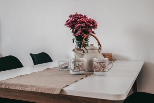 Apartmán Efka (Apartman Efka) in Destne V Orlickych Horach Apartmán Efka (Apartman Efka) in Destne V Orlickych Horach