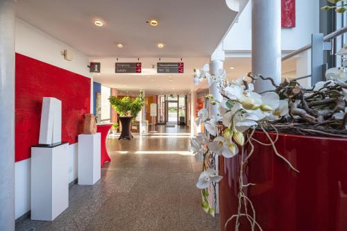 ردهة, فندق أم فروشباخيل (Hotel Am Froschbachel) in Buhl ردهة, فندق أم فروشباخيل (Hotel Am Froschbachel) in Buhl