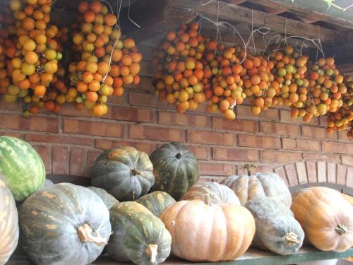 This photo about Agriturismo i Moresani shared on HyHotel.com