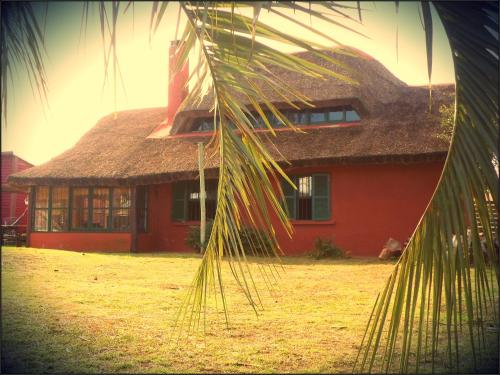 This photo about Hostel El Nagual shared on HyHotel.com