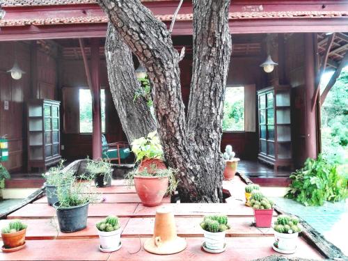 لوانج شومني فيليدج (Luang Chumni Village) in Pratuchai لوانج شومني فيليدج (Luang Chumni Village) in Pratuchai