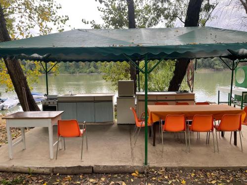 Tisza-beach wild camping4 in Petofitelep Tisza-beach wild camping4 in Petofitelep
