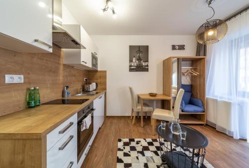 Cocina, Aviatik apartments in Ceske Budejovice 1 Cocina, Aviatik apartments in Ceske Budejovice 1