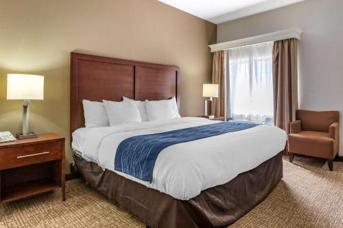 Facilities, Comfort Inn Downtown - University Area in Kalamazoo (MI) Facilities, Comfort Inn Downtown - University Area in Kalamazoo (MI)