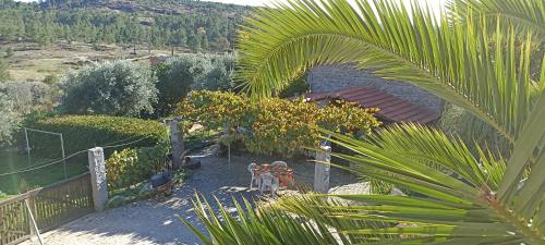 Létesítmények, Quinta do Mineiro-Serra da Estrela in Fornos De Algodres Létesítmények, Quinta do Mineiro-Serra da Estrela in Fornos De Algodres