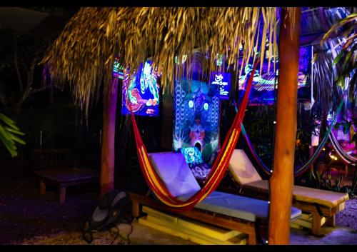 Atividades, Villas Pura Vibra in Potrero Atividades, Villas Pura Vibra in Potrero