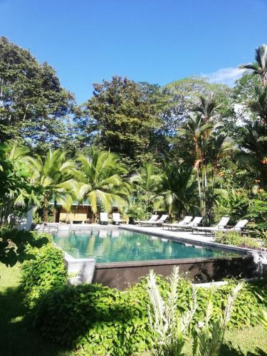 The 11 Best Hotels in Cahuita, Costa Rica: All Budgets