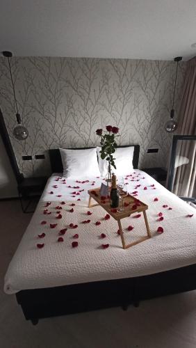 Haarlem Apart Hotel in Haarlem Haarlem Apart Hotel in Haarlem