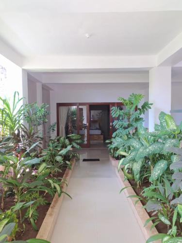 Kert, Ocean Resort Amed in Amed Kert, Ocean Resort Amed in Amed