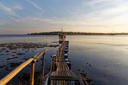 Facilities, Menjangan Eco Lodge in Menjangan Facilities, Menjangan Eco Lodge in Menjangan